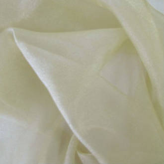 Gold Crystal Organza