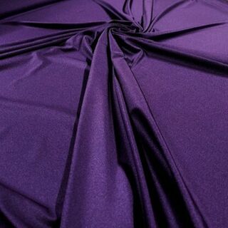 Shiny Nylon Spandex Plum